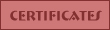 Getting a Certificate for a Marriage Record